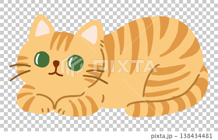 Cute vector illustration of a tabby cat sitting in a loaf position. Cute vector illustration of a tabby cat sitting in a loaf position. 138434481
