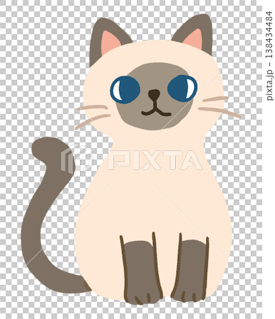 Cute vector illustration of a sitting Siamese cat 138434484