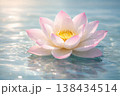 Serene pink lotus flower floating on tranquil water with soft sunlight reflections 138434514