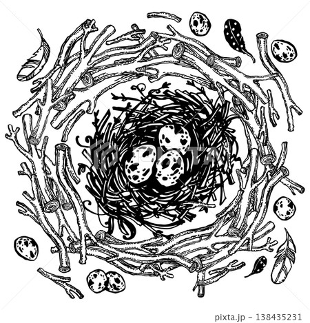 Nest among scattered tree branches 138435231