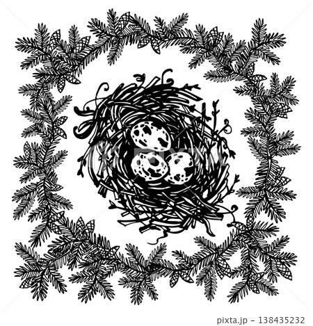 Nest among scattered spruce branches 138435232
