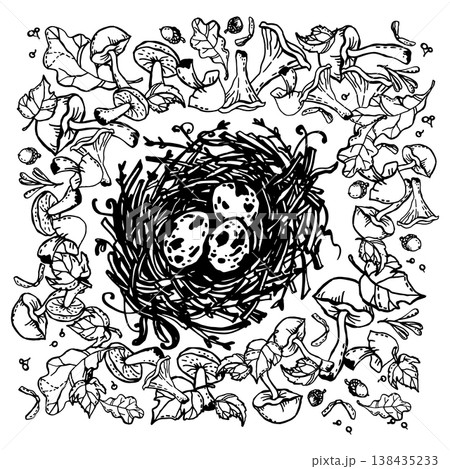 A nest among scattered mushrooms 138435233