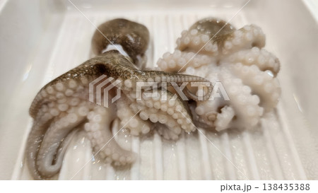 Fresh Raw Baby Octopus with Tentacles and Suckers on a White Tray for Seafood Cooking 138435388