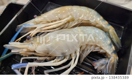 Fresh Raw Giant River Prawns in a Tray - Macrobrachium rosenbergii Seafood 138435389