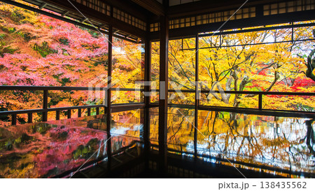 Ruriko-in temple with beautiful colorful autumn leaf, Kyoto 138435562