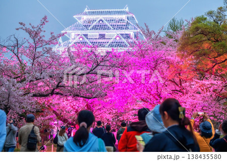 Japanese people visit cherry tree garden light up and Fukuoka Castle ruins Illusions at Maizuru park, Fukuoka Japanese people visit cherry tree garden light up and Fukuoka Castle ruins Illusions at Maizuru park, Fukuoka 138435580