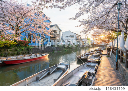 Punting boats by pink cherry sakura tree tunnel at yanagawa river 138435599