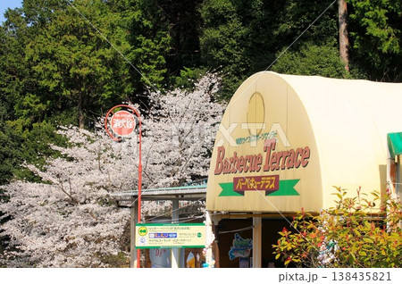 関西サイクルスポーツセンターと桜 138435821