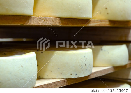 Macro of ripened cheese wheels, visible aged rind, organic cheese farm, premium variety, seasonal maturing, traditional craft dairy production. Macro of ripened cheese wheels, visible aged rind, organic cheese farm, premium variety, seasonal maturing, traditional craft dairy production. 138435967