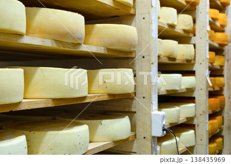 Natural cheese stacked for aging, controlled environment, farm business, different varieties, wooden shelves, maturation room, quality organic product. Natural cheese stacked for aging, controlled environment, farm business, different varieties, wooden shelves, maturation room, quality organic product. 138435969