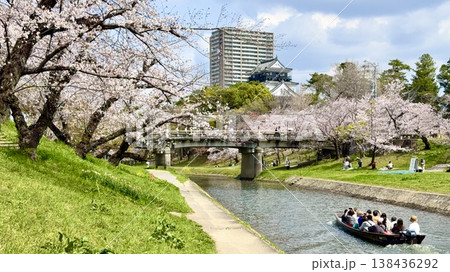 満開の桜に彩られた伊賀川を岡崎城天守閣を望みながら進むお花見乗合舟〈岡崎城公園/愛知県岡崎市〉 138436292