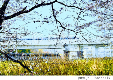 桜咲く川岸の先を走る新幹線2 桜咲く川岸の先を走る新幹線2 138436515
