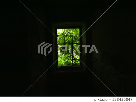 Dark Room Interior With Bright Green Tree View Through Grilled Window Showing Peeling Paint Walls And High Contrast Lighting Style 138436847