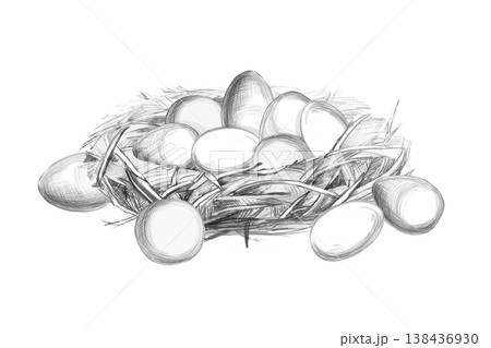 Nest with eggs. Isolated pencil illustration for printing houses, farms, restaurants, food products, themed events, children's books, agriculture, farmers markets. 138436930