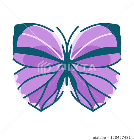 Amatuxidia bicolor in purple, a butterfly from Southeast Asia on white 138437481