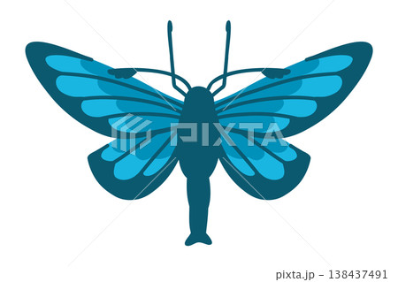 Cocytia durvillii insect in blue, butterfly from New Guinea on white 138437491