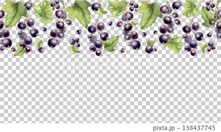 Black currant on branches watercolor seamless border isolated on white. Dark berries hand drawn on repeat background. Fresh botanical illustration for food design, packaging and fabric print. Black currant on branches watercolor seamless border isolated on white. Dark berries hand drawn on repeat background. Fresh botanical illustration for food design, packaging and fabric print. 138437745