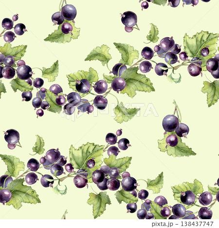 Seamless pattern with hand painted watercolor black currant berries and leaves isolated. Botanical ripple print of fresh summer berries for fabric, textile, stationery, wallpaper and packaging design. 138437747