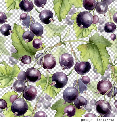 Watercolor pattern with branches black currant and green leaves. Seamless texture with summer berry fruit on white background. Botanical repeat drawing of garden harvest for textile and wallpaper. Watercolor pattern with branches black currant and green leaves. Seamless texture with summer berry fruit on white background. Botanical repeat drawing of garden harvest for textile and wallpaper. 138437748