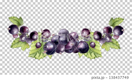 Black currant berries bunch and green leaves watercolor half wreath isolated white. Purple juicy berry hand drawn. Bright garden fruits illustration for textile, packaging and greeting card. Black currant berries bunch and green leaves watercolor half wreath isolated white. Purple juicy berry hand drawn. Bright garden fruits illustration for textile, packaging and greeting card. 138437749