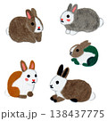 Cute Holland Lop Rabbit Collection Hand Drawn Oil Pastel and Crayon Style for Digital Diary Sticker and Pet Stationery Design 138437775