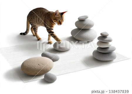 A ginger cat walks on the rug next to the pyramids of stones. 138437839