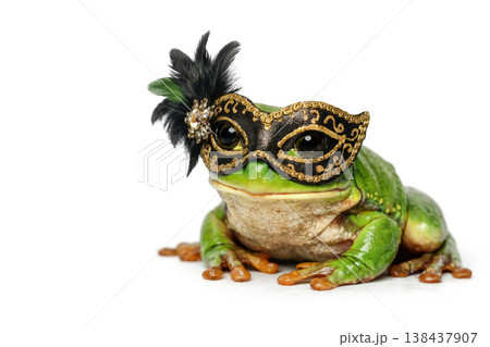 A green frog in a decorative carnival mask. Space for text. 138437907