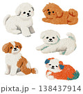 Cute Bichon Frise and Poodle Dog Collection Hand Drawn Oil Pastel Style Puppy Set for Pet Industry Branding 138437914