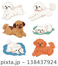 Cute Bichon Frise and Poodle Dog Collection Hand Drawn Oil Pastel Style Puppy Set for Pet Industry Branding 138437924
