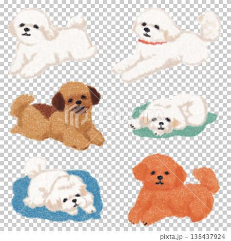 Cute Bichon Frise and Poodle Dog Collection Hand Drawn Oil Pastel Style Puppy Set for Pet Industry Branding 138437924