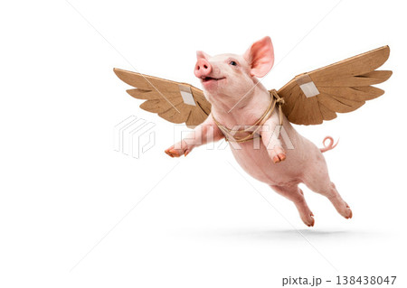 Piglet with cardboard wings on a white background. Space for text. Piglet with cardboard wings on a white background. Space for text. 138438047