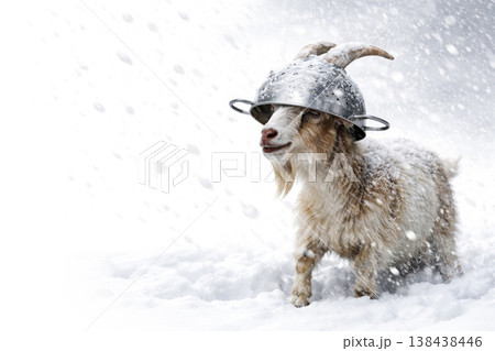 A goat in a metal colander stands in the snow. Space for text. 138438446