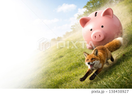 The fox runs across the grass from a large piggy bank. Space for text. 138438927
