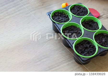 Seedling trays with soil ready for planting in springtime 138439020