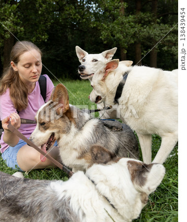 Professional dog walker young woman with pack of dogs is sitting on grass and enjoying walk animals. Professional dog walker young woman with pack of dogs is sitting on grass and enjoying walk animals. 138439454