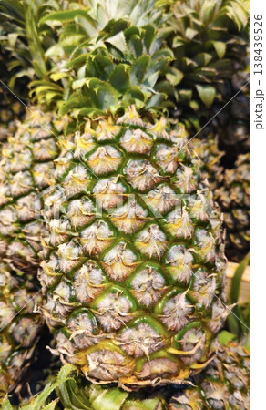 Ripe juicy pineapple at the market Ripe juicy pineapple at the market 138439526