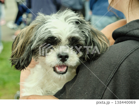 A man holding a dog in his arms, close-up of the dog 138440069