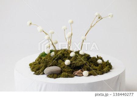 Minimal still life with white dried flowers on moss, stone on white pedestal, white wall Minimal still life with white dried flowers on moss, stone on white pedestal, white wall 138440277