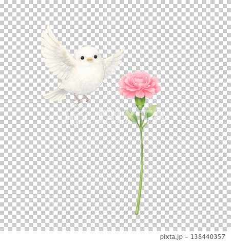 White bird and carnation watercolor illustration. Cute Mother's Day thank you gift. Natural and gentle hand-drawn style design. 138440357