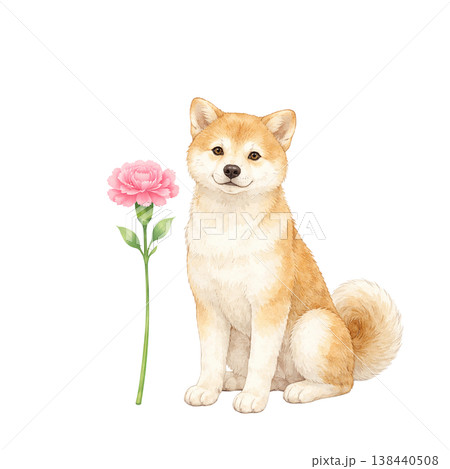 柴犬とカーネーション 水彩イラスト 母の日のかわいい贈り物素材 ナチュラルでやさしい手描き風デザイン 138440508