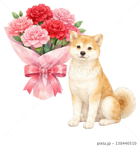 柴犬とカーネーションの花束 水彩イラスト 母の日の贈り物素材 かわいいナチュラルデザイン 138440510