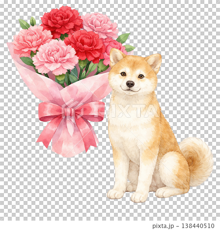 柴犬とカーネーションの花束 水彩イラスト 母の日の贈り物素材 かわいいナチュラルデザイン 138440510