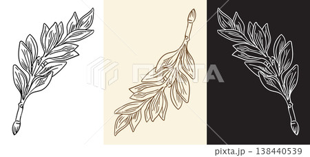 Retro engraving design element abstract leaf vector isolated illustrations Retro engraving design element abstract leaf vector isolated illustrations 138440539