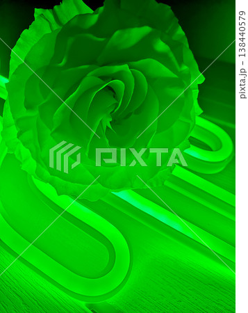 Vibrant electric green neon gardenia flower glowing against a dark, futuristic background 138440579