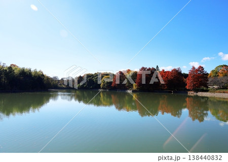 色づく　雑木林 138440832