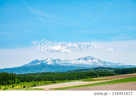 初夏の畑作地帯と残雪の山並み 138441817