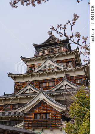 広島城天守閣と桜 138441830