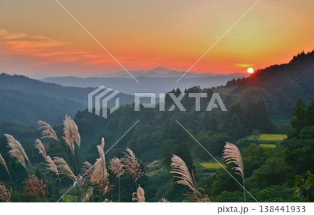 夕焼けに染まる山古志のススキ 夕焼けに染まる山古志のススキ 138441933