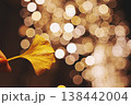 イルミネーションの玉ボケをバックにした紅葉の葉 138442004