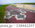 ドローンで上空から撮影した 138442207